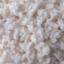 Organic Milk Kefir Grains
