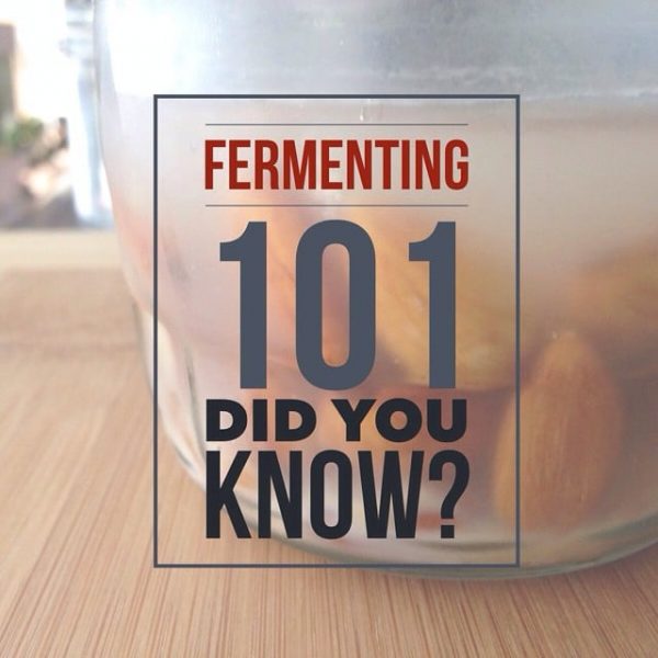 Fermenting Almonds Milk Kefir