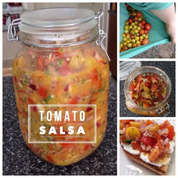 Tomato Salsa with Milk Kefir Whey