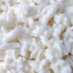Organic Milk Kefir Grains