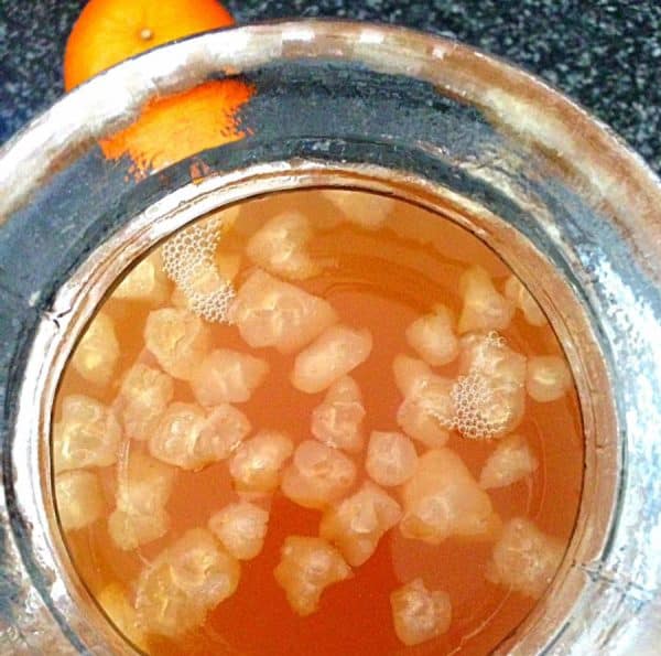 Floating Water Kefir Grains